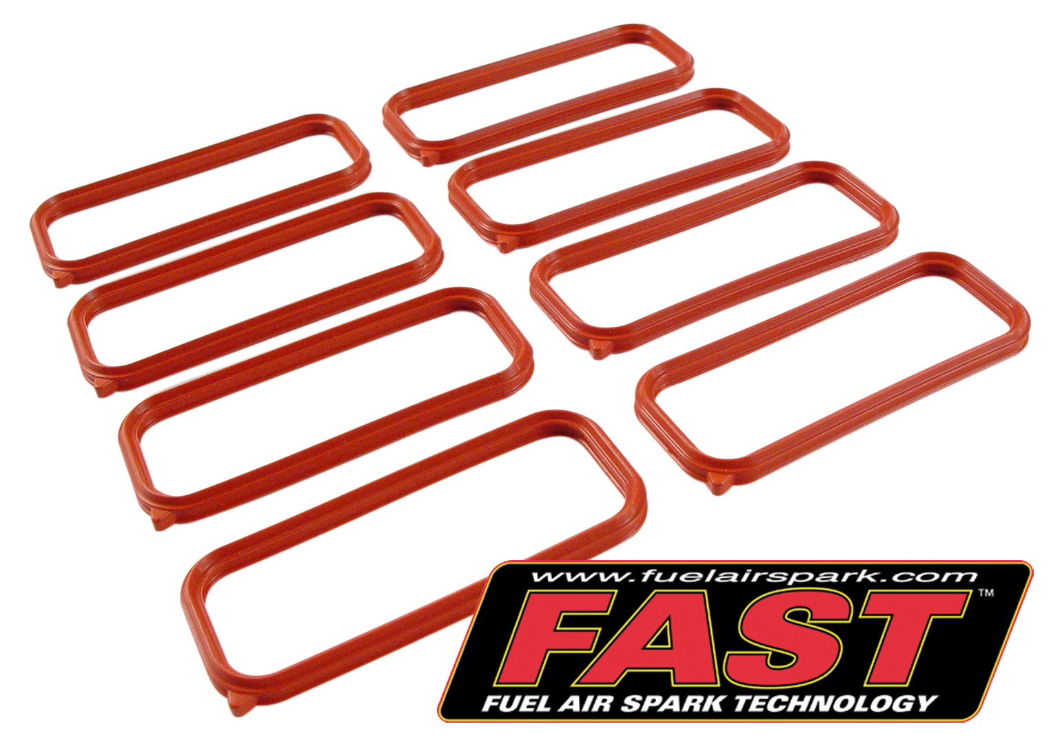 98-02 LS1 FAST LSX Intake Port Seal Kit (Set of 8)